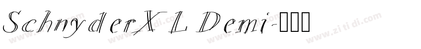 SchnyderXL Demi字体转换